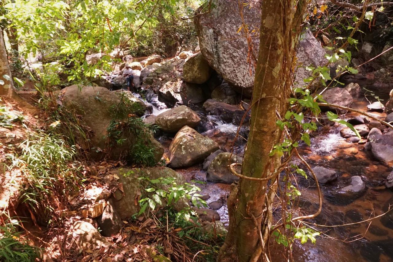 Teldeniya Retiyagama Eco Resort מראה חיצוני תמונה