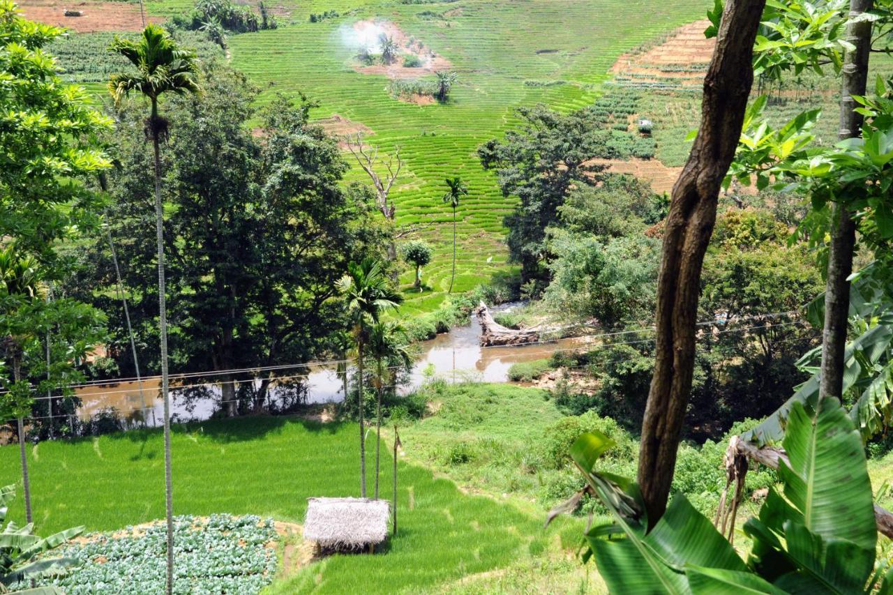 Teldeniya Retiyagama Eco Resort מראה חיצוני תמונה